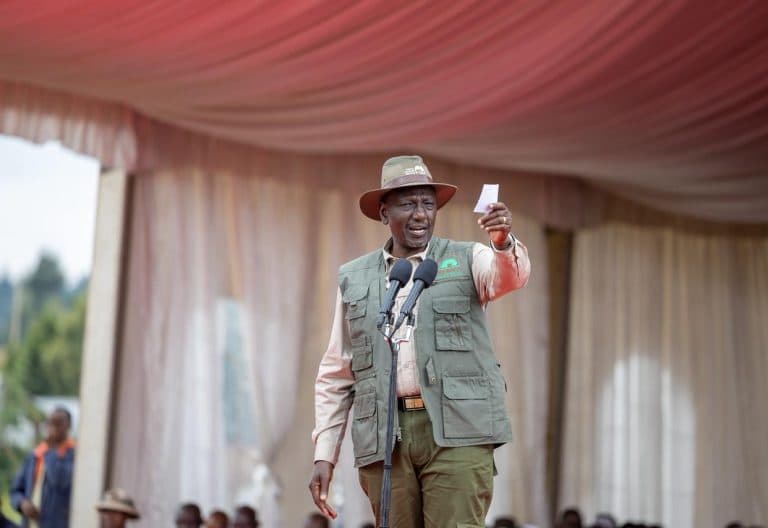 Ruto Lifts Logging Ban, Halts Furniture Imports to Boost Local Industry