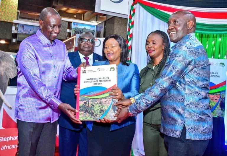Kenya Reimagines Tourism with Ambitious New Strategy