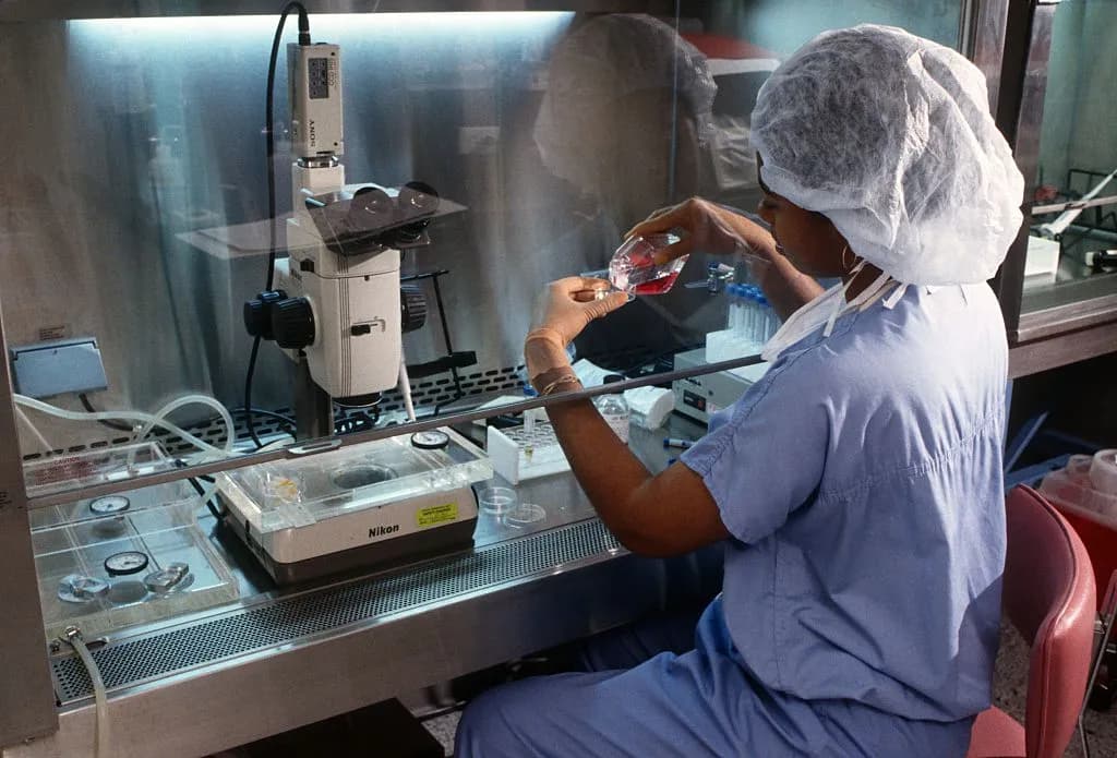 Digital Divide: The New Frontier of Reproductive Rights