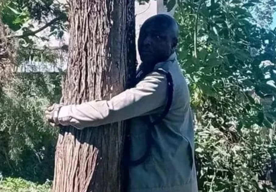 Nairobi’s Meme Lords Roast ‘Tree-Hugging’ Cops and Broke Parents