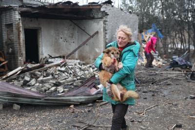 Massacre at the Shelter: Russian Drone Strike Kills 10 Rescue Dogs