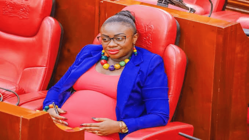 Court Dismisses Senator Orwoba Petition Over Party Disciplinary Actions