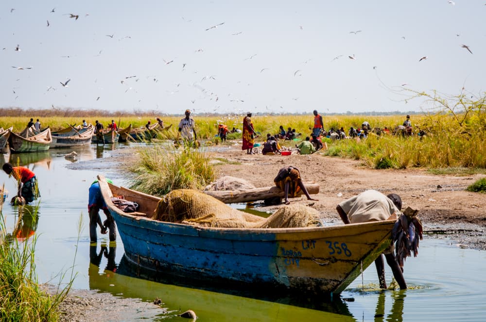 Rising Tides: How Turkana Floods Birthed a Desert Safari Boom