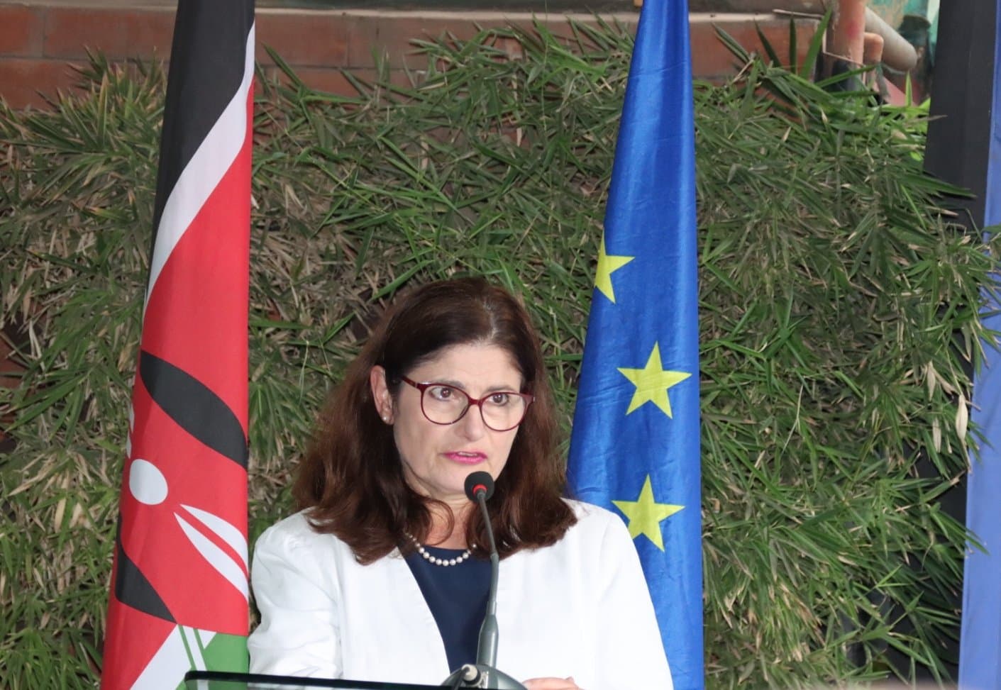 EU Indo-Pacific Strategy Deepens Kenya Ties