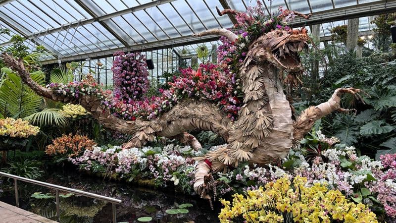 London's Kew Gardens Blooms With China-Themed Orchid Festival