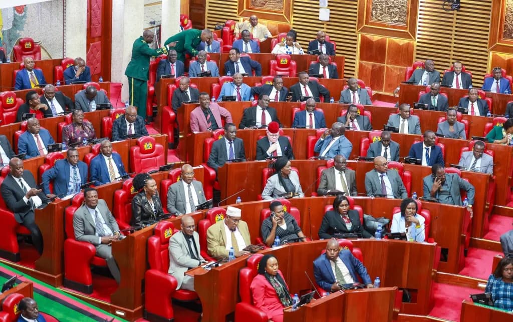 National Assembly passes bill to promote police officers’ mental health