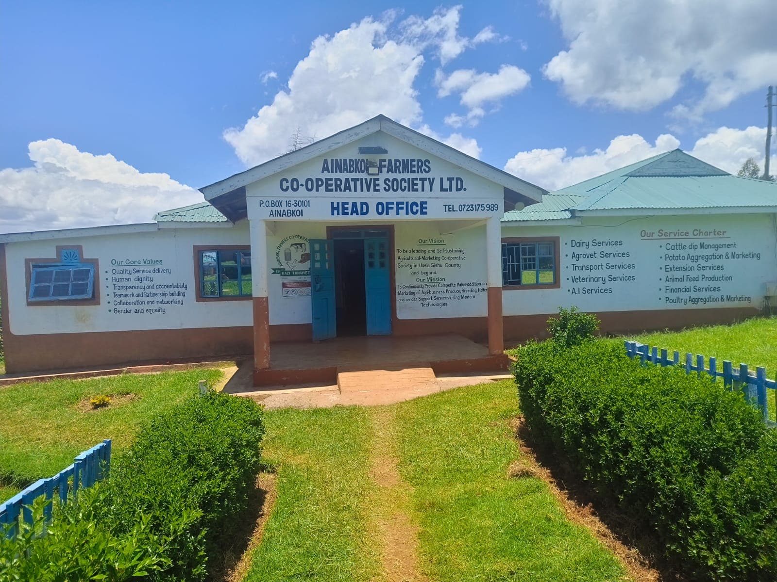 White Gold: How the Women of Ainabkoi Saved a Dying Cooperative from Ruin