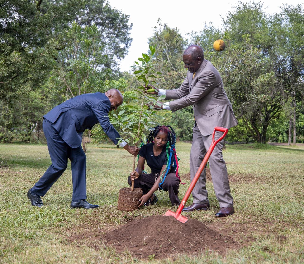 Green Mirage? Survival Gaps Threaten Ruto’s 15 Billion Tree Dream