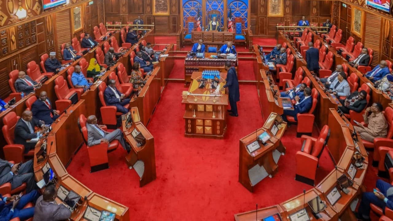 Senate pushes for expanded role in new Oversight Bill as Parliament resumes