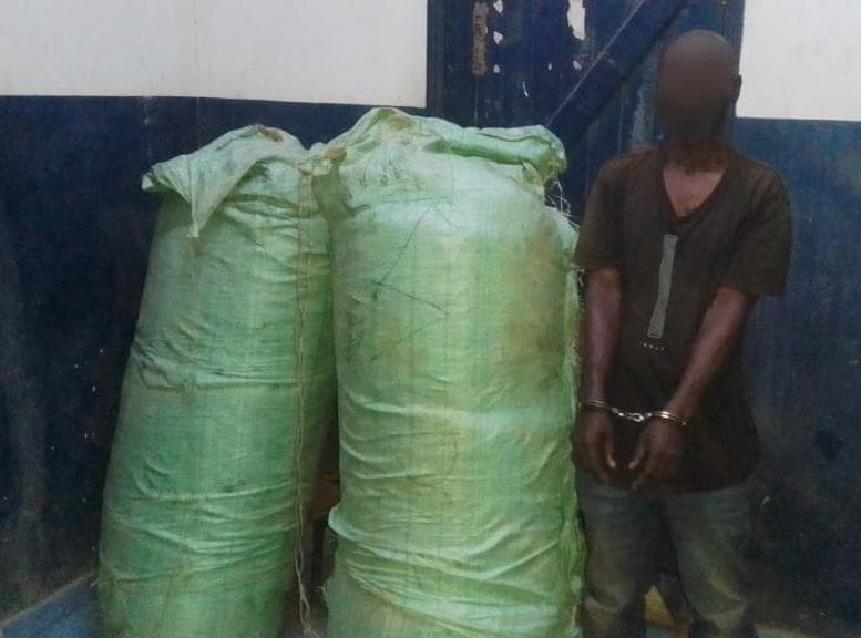 Driver Arrested, Cannabis Seized in Kwale Police Operation