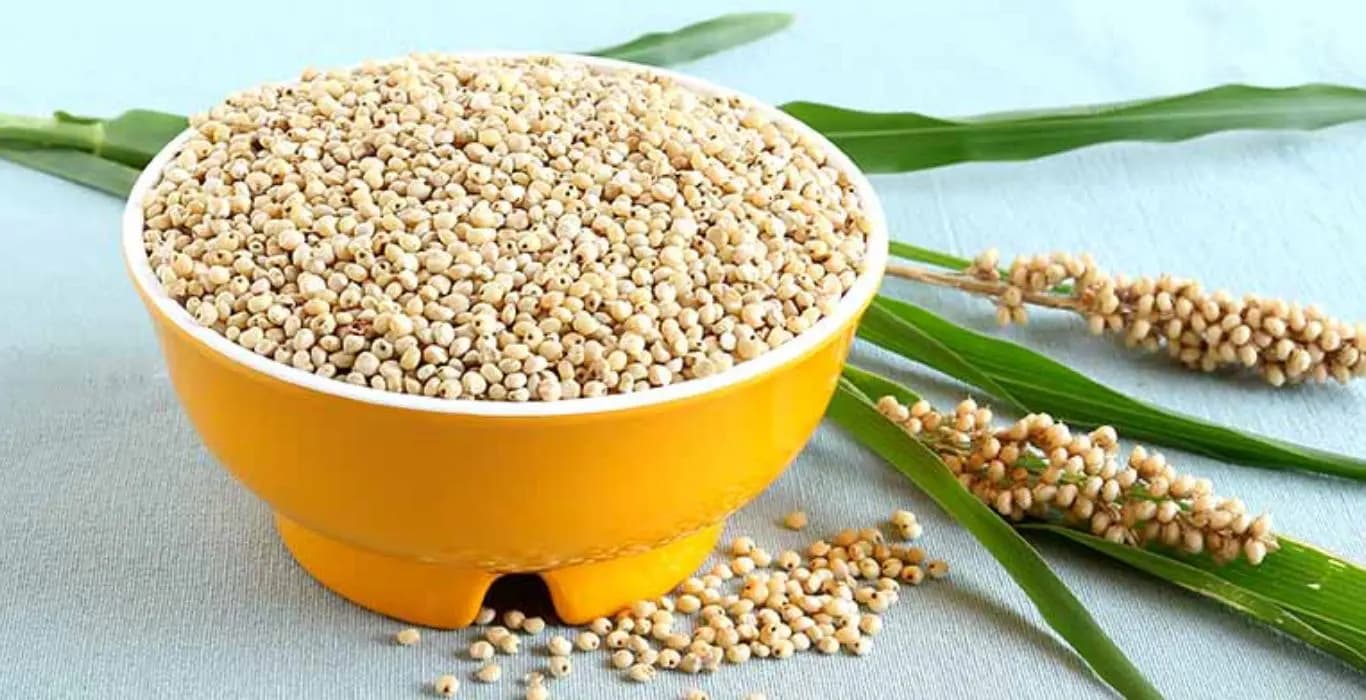 Sorghum Superfood: Kenyan Startup Revolutionizes Diabetic-Friendly Nutrition