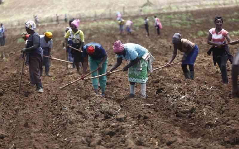 Kenya's Food Security Threatened by Widespread Soil Degradation