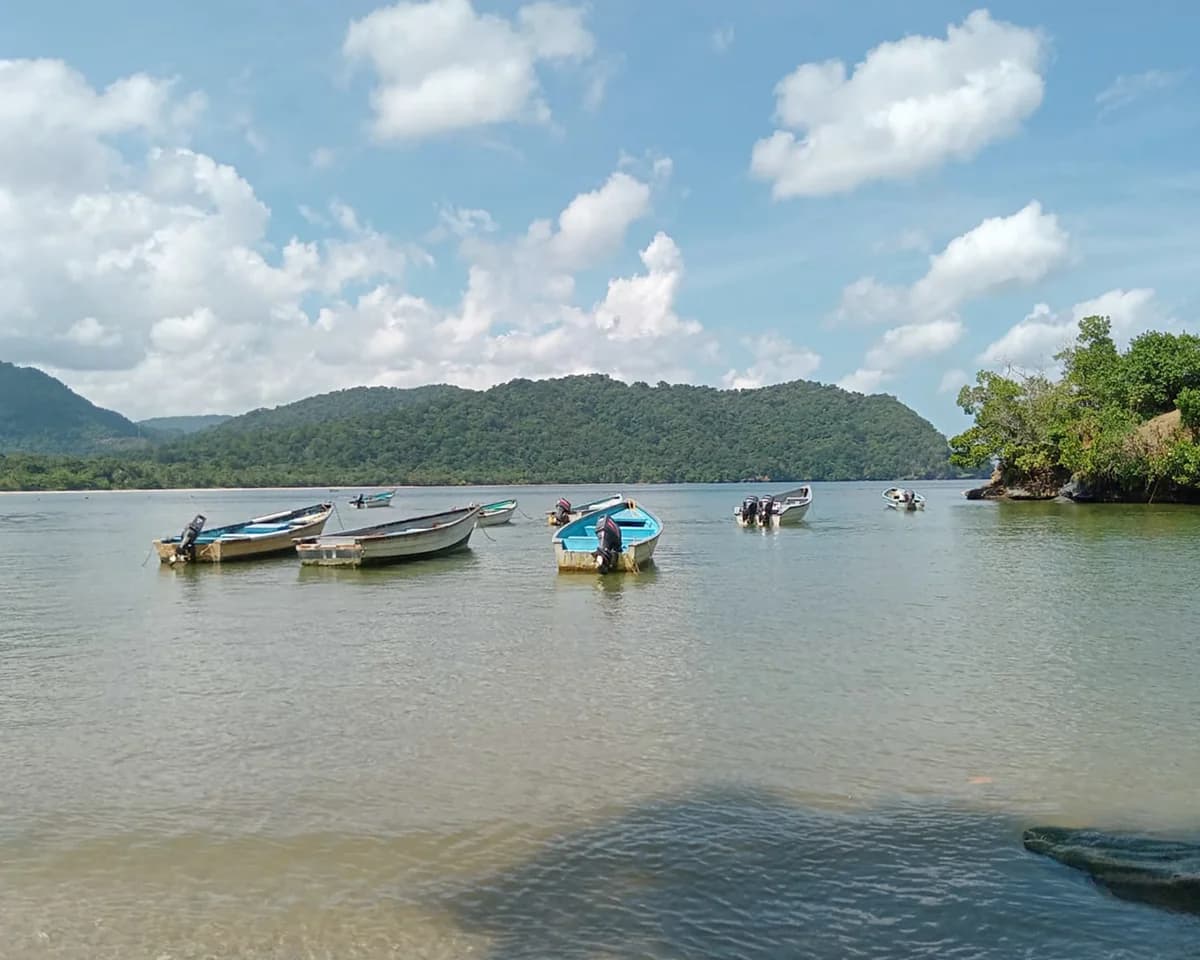 Survivors Reported in US Caribbean Drug Vessel Strike, Legal Questions Mount