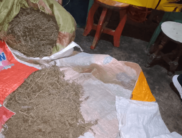 Underground Drug Empire: NACADA Raids Bunker in Njoro Bust