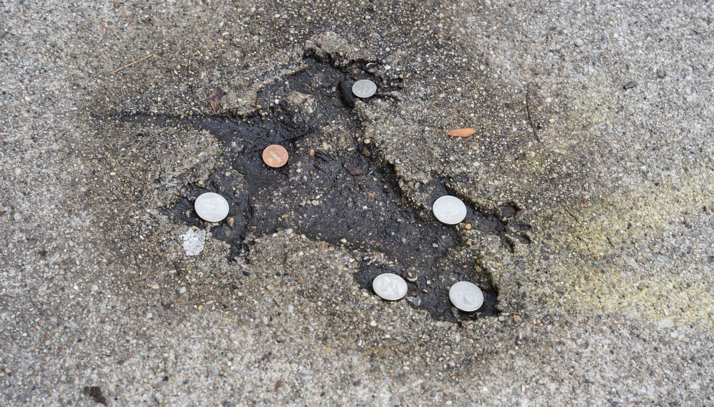 Chicago's 'Splatatouille' Imprint Likely a Squirrel, Not a Rat, Say Scientists