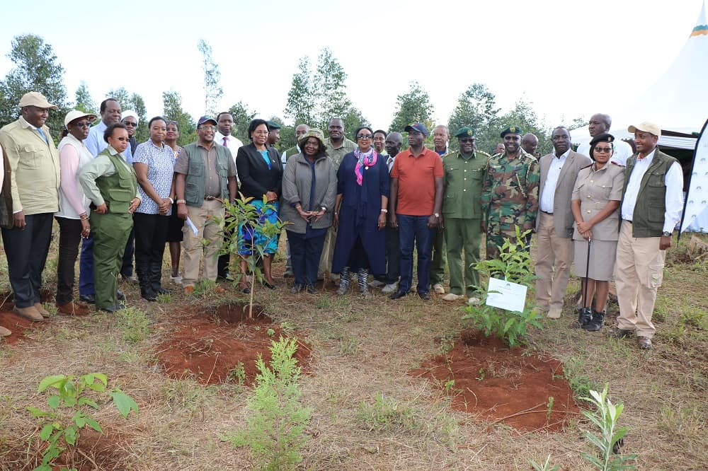 NEMA Launches Ambitious Nationwide Tree-Planting Drive to Combat Deforestation