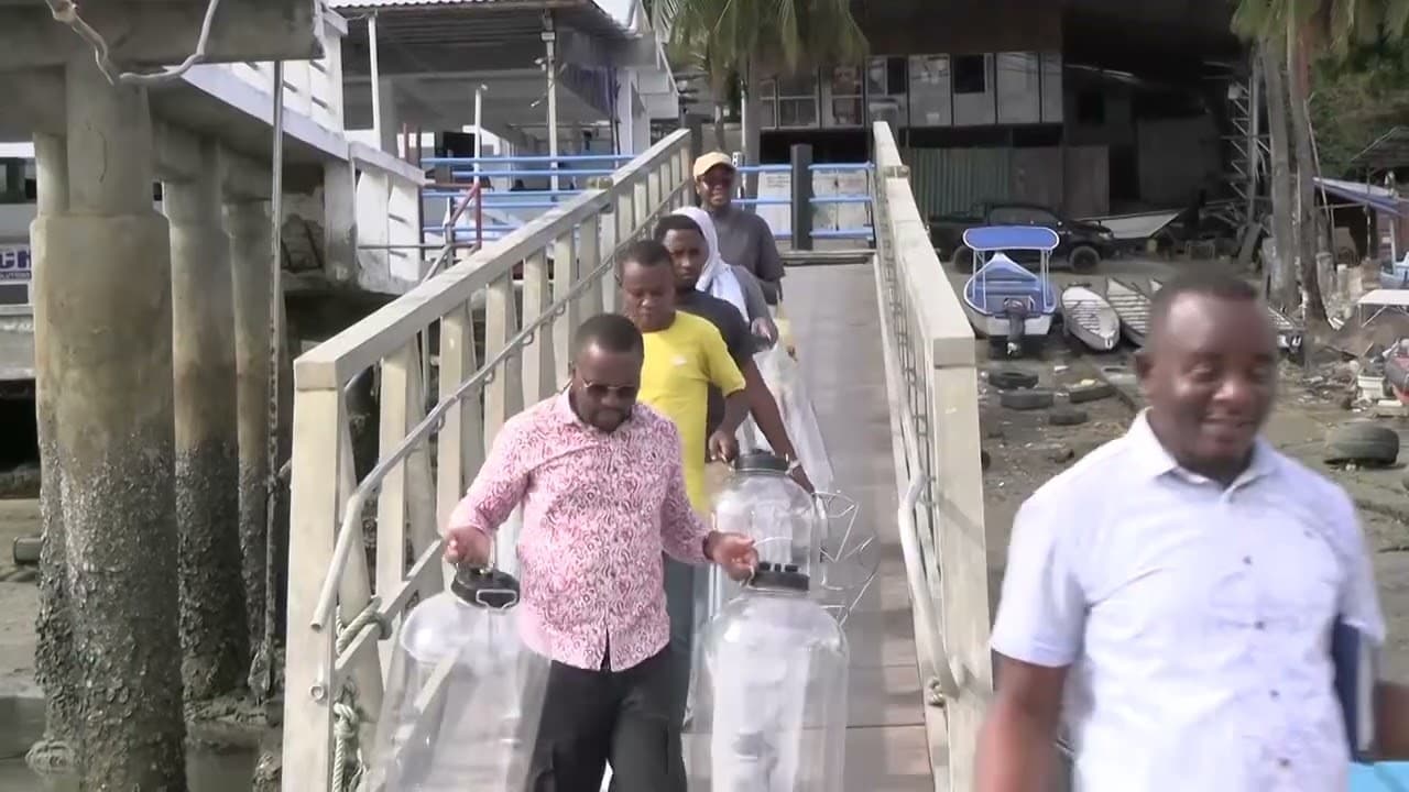 Kenyan Ocean Waters Host Groundbreaking Carbon Removal Experiment