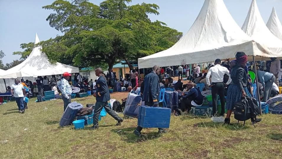 The Broken Ladder: Why the "Fruits of Education" Are Rotting for Kenya’s Youth