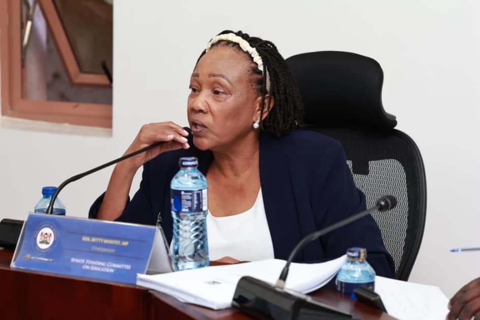 Senate Showdown: Lawmakers Reject Controversial ECDE-Primary Merger