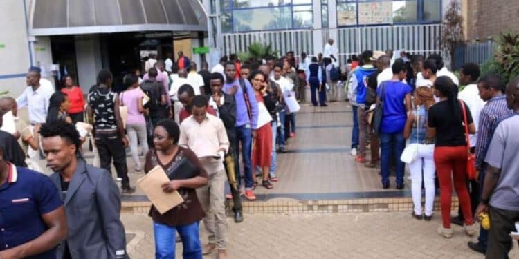 HELB Flags Fake Sh9.5 Billion Disbursement Letter Amidst Student Anxiety