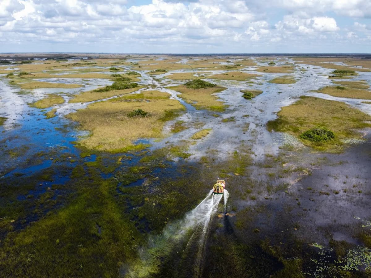 Scientist Alleges 'Contract That Never Was' in Everglades Legal Battle
