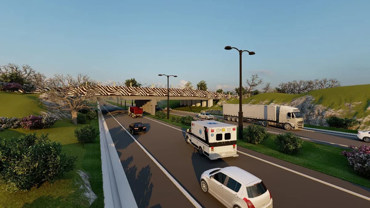 Sh4.5 Billion Lifeline: Securitization Deal Revives Stalled Mombasa Infrastructure