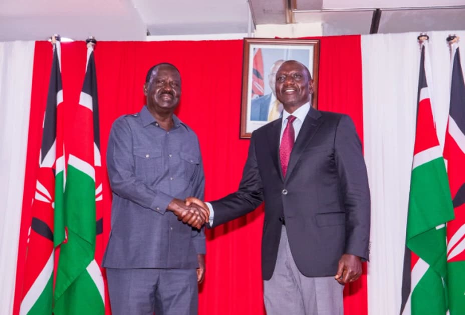 Majority of Kenyans Reject Ruto–Raila Broad-Based Government Plan, Poll Shows