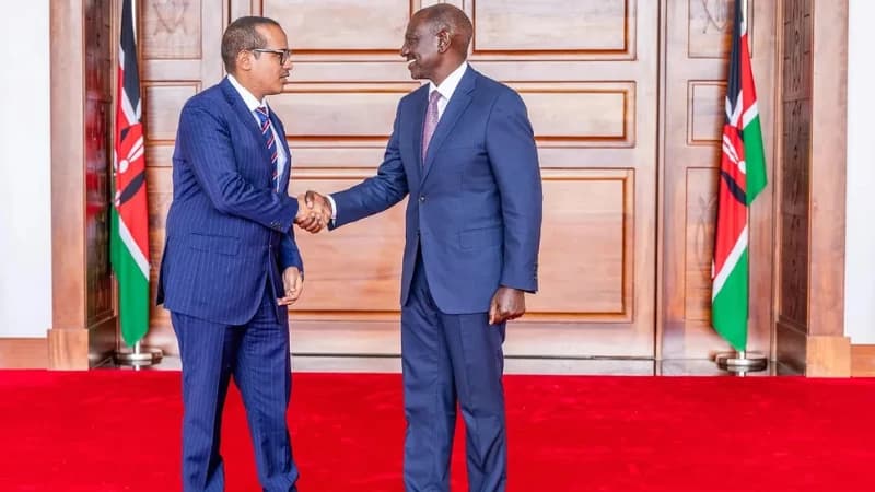 Billion-Shilling Bet: Tanzanian Tycoon Pledges Sh25.8bn Injection to Revive Portland Cement