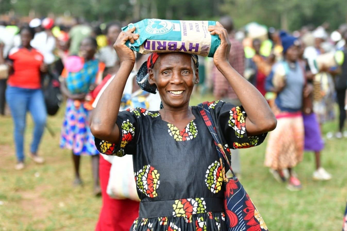 Over 300,000 Farmers Benefit From Free Maize Seeds In Trans Nzoia