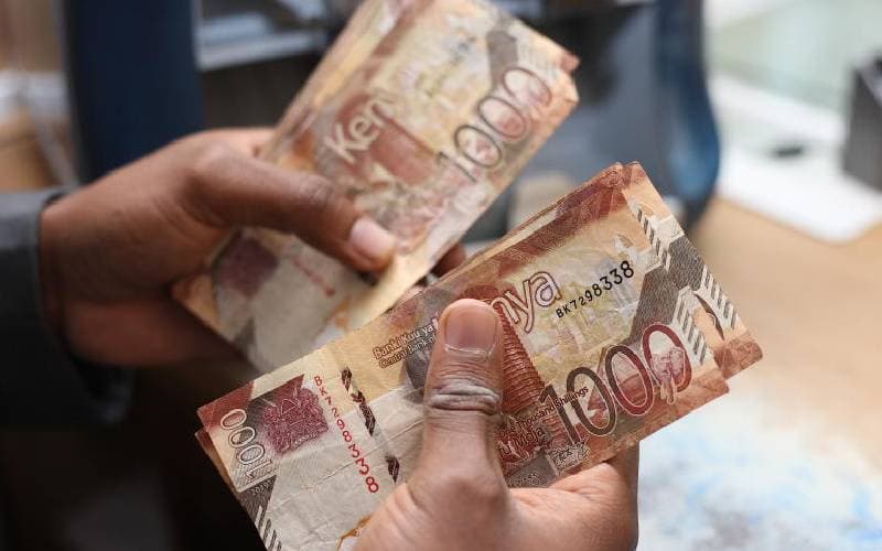 Youth Fund Insolvent, Halts All Loan Disbursements