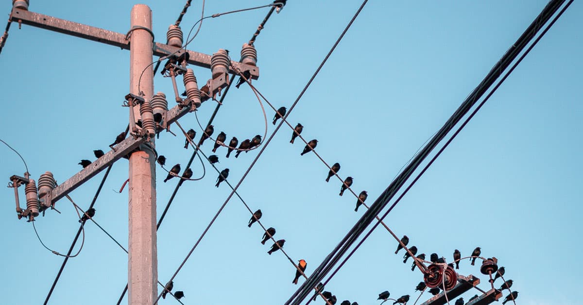 Parliament Report Reveals KETRACO Lost Billions in Botched Powerline Deal