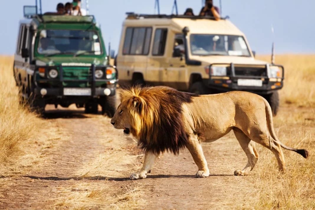Kenya's Tourism Must Directly Uplift Local Communities, Stakeholders Urge