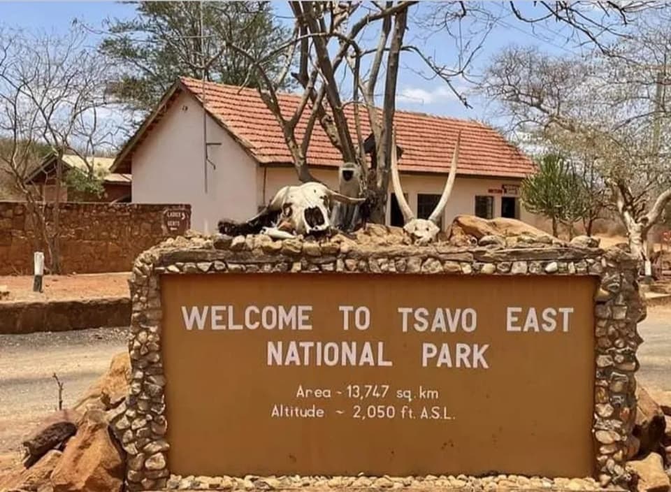 Trampled to Death: Taita Taveta Elephant Attack Exposes KWS Failure