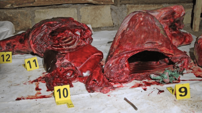 Zebra on the menu? Four arrested in KWS bushmeat bust