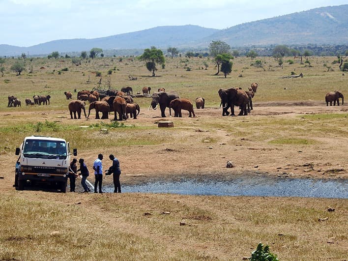 KWS Deploys Water Tankers to Save Wildlife from Drought Catastrophe