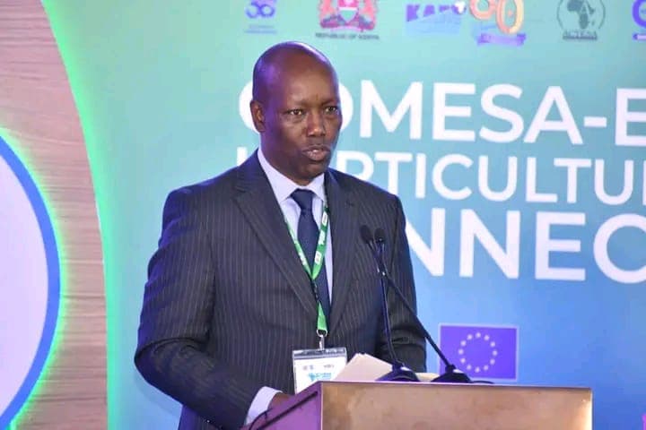 CS Kinyanjui Urges COMESA States to End Border Delays