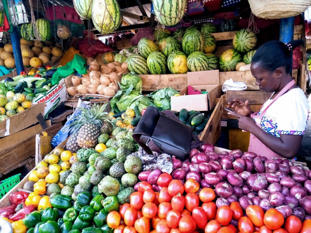 I Run a Mama Mboga Kiosk. Should I Take a Digital Loan to Expand into Cereals?