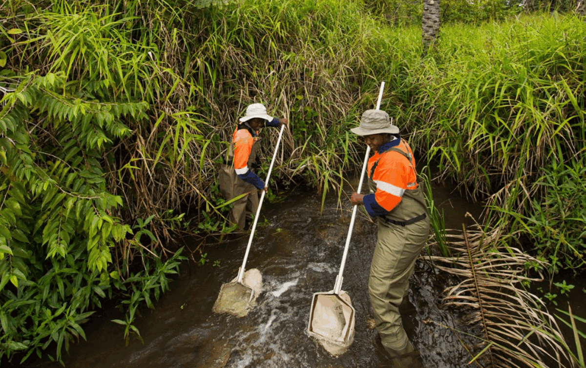 Kenya Navigates Environmental Concerns Amidst Critical Minerals Push