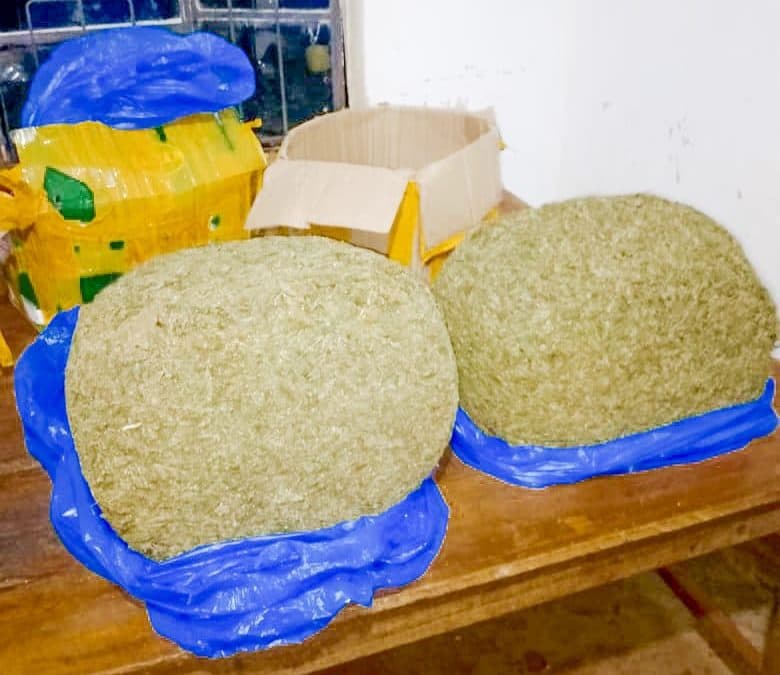 University Hostel Raid Nets Bhang Worth Sh5 Million and Sparks Campus Drug Crackdown