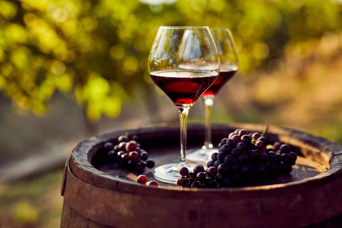 Sip of Love: The Definitive Valentine’s Wine Guide for Every Palate