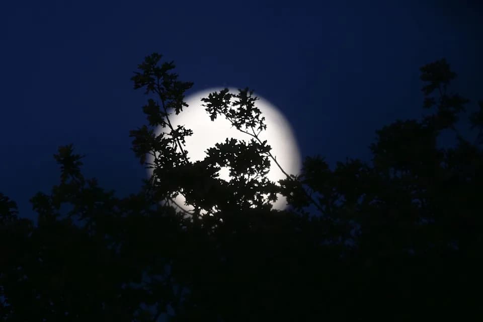 Harvest Supermoon Dazzles Skies, Sparks Policy Dialogue