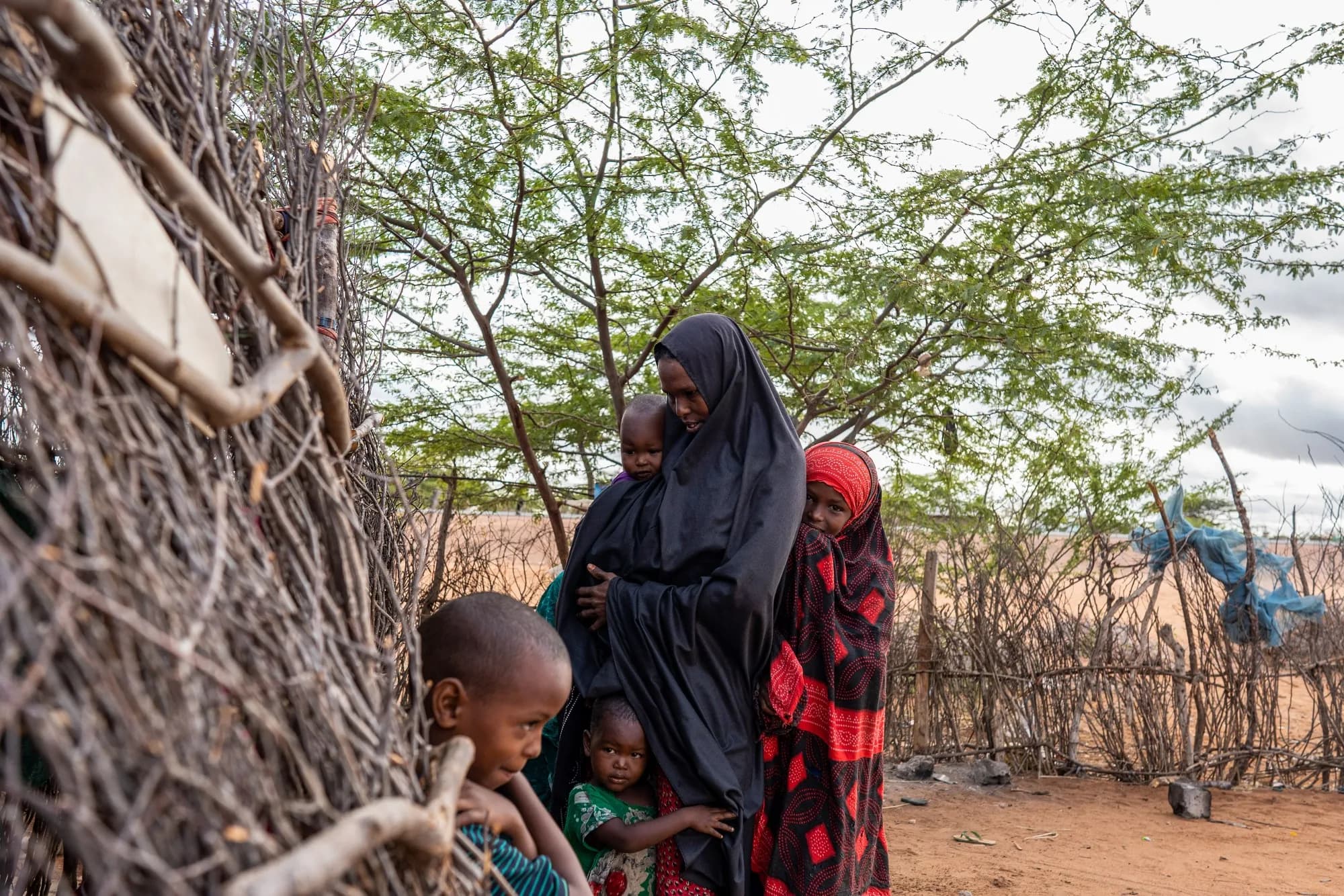 Code Red: 2 Million Kenyans Face Starvation as Drought Ravages North