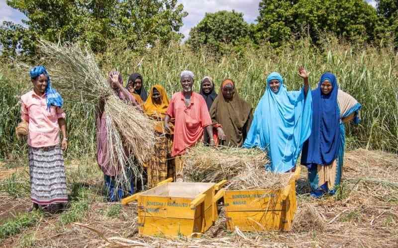 Rising from the Dust: How Devolution is Finally Reshaping Mandera