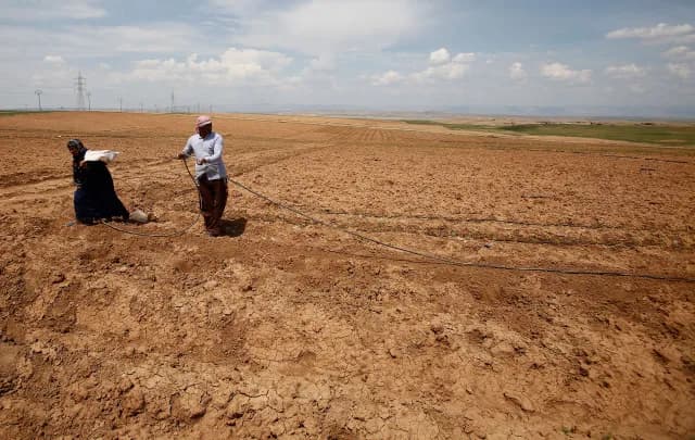 Iraq Slashes Farming Amid Historic Drought, Raising Global Food Alarms