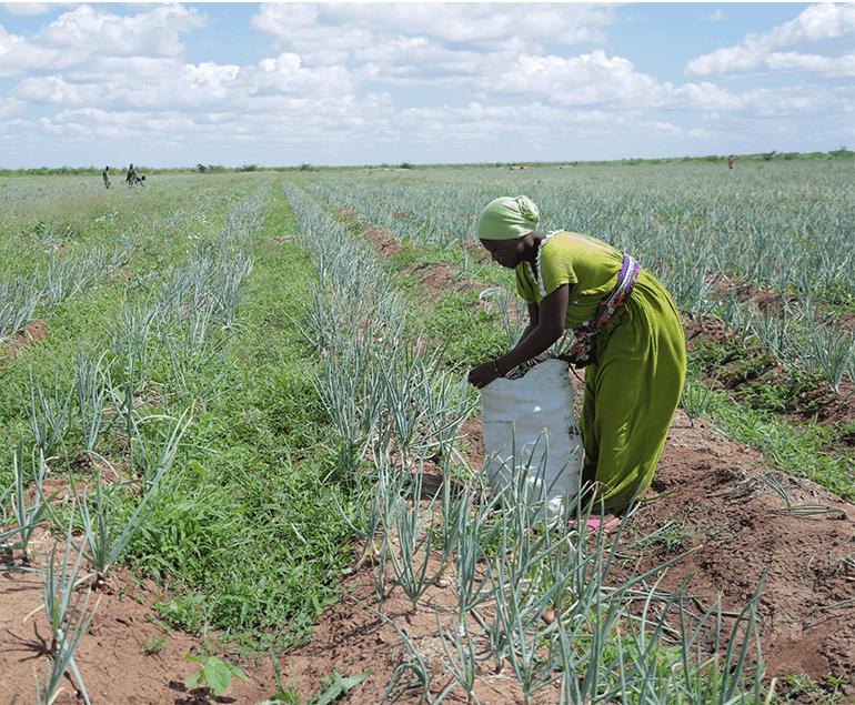 Bura Residents Reject Irrigation Scheme, Cite Ancestral Land Threat