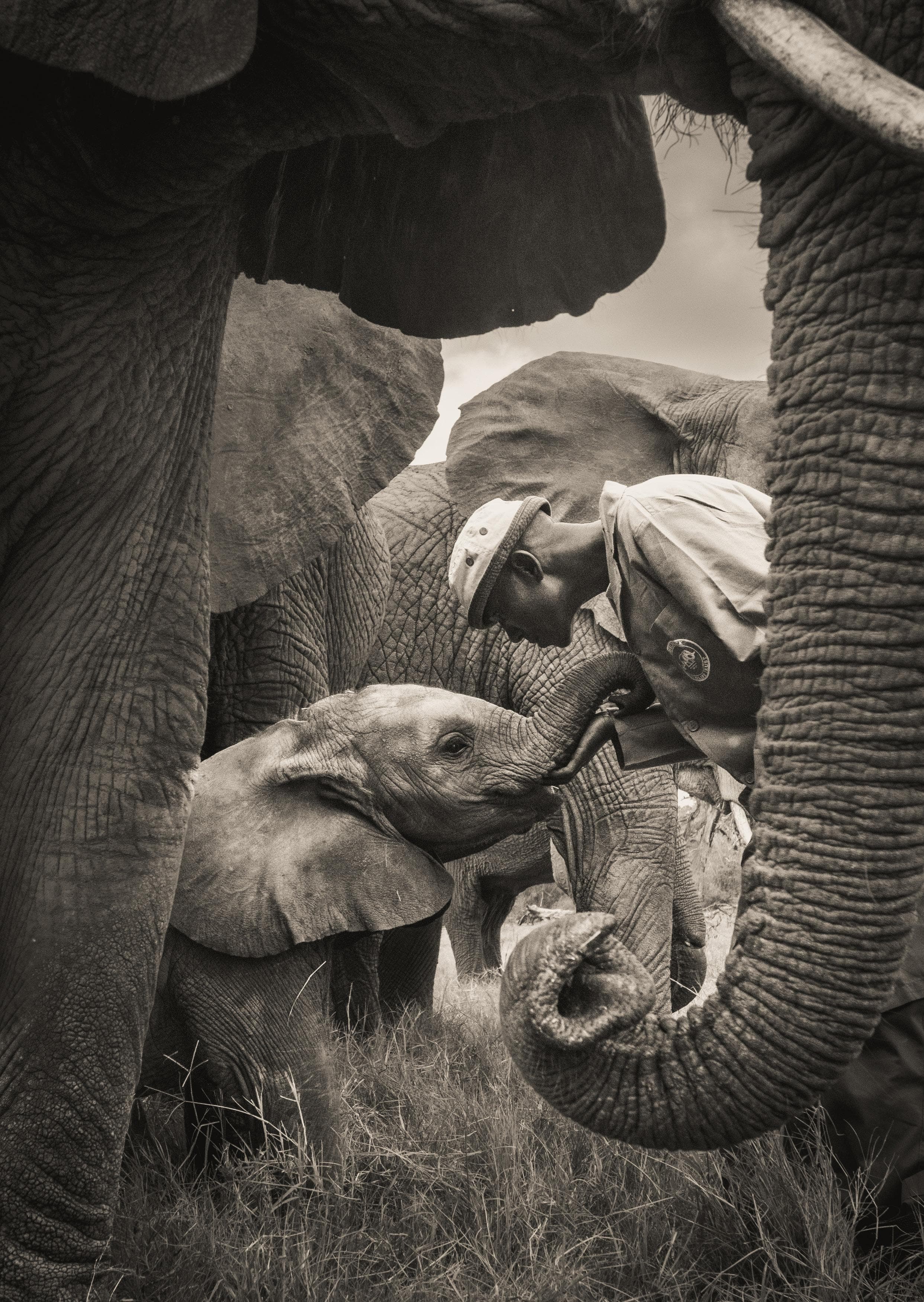 Sheldrick Wildlife Trust