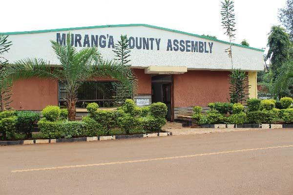 Murang’a scores 98.3pc in Vision 2030 ranking for automation and jobs
