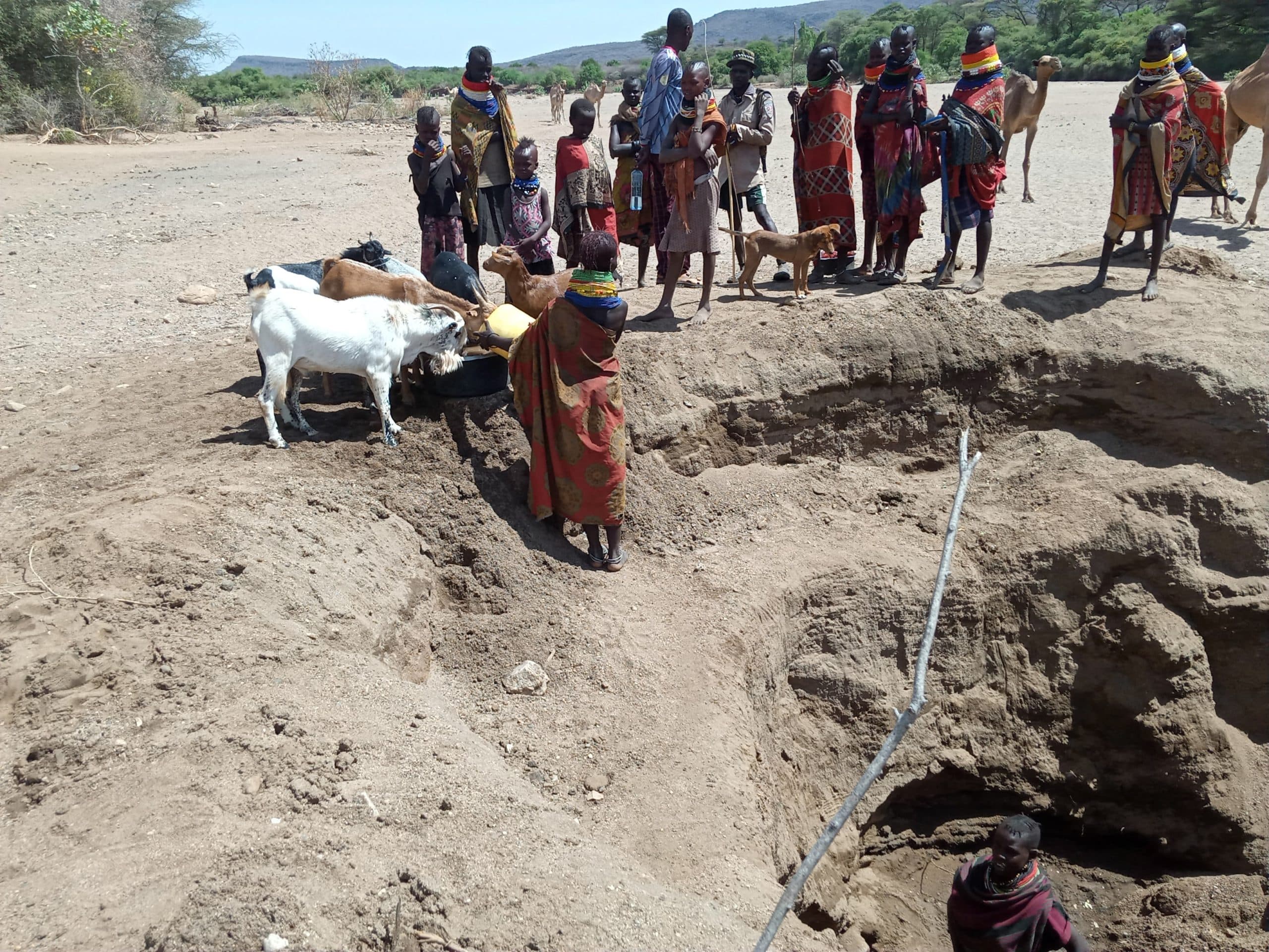 Billions for Survival: Kindiki Deploys War Chest as Drought Ravages 23 Counties