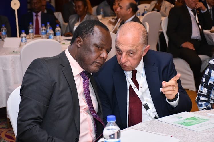 Kenya Joins Egypt and South Africa in Cutting Interest Rates Amid Economic Pressures, Report Shows