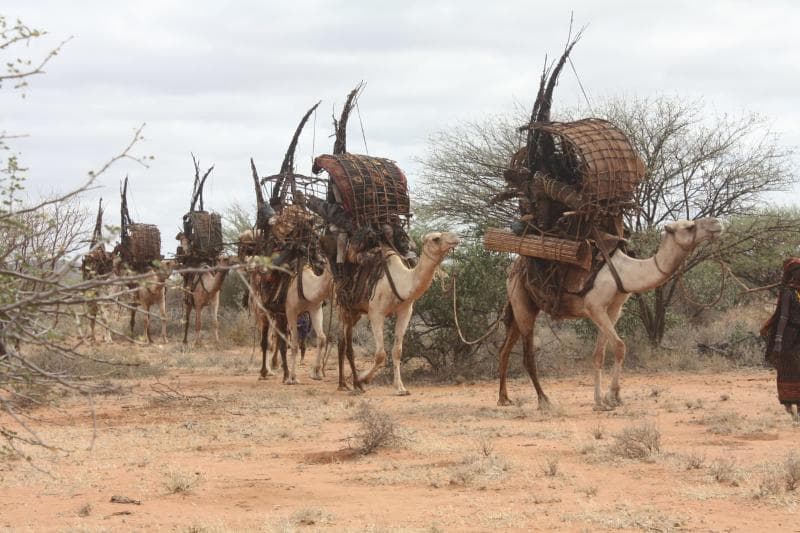 Empty Plates, Fading Dreams in Marsabit